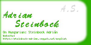 adrian steinbock business card
